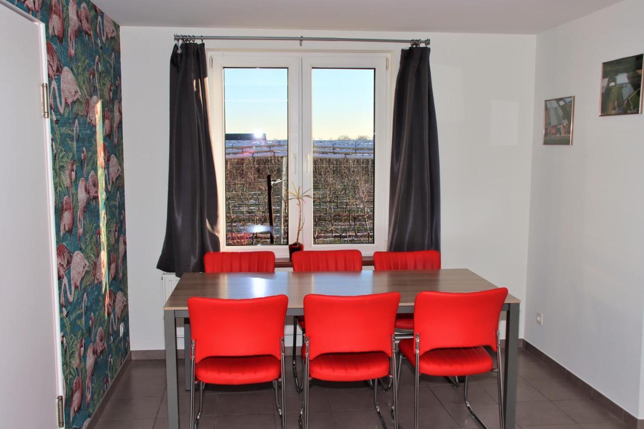 Juwel Fruithof Apartman Zepperen Kültér fotó